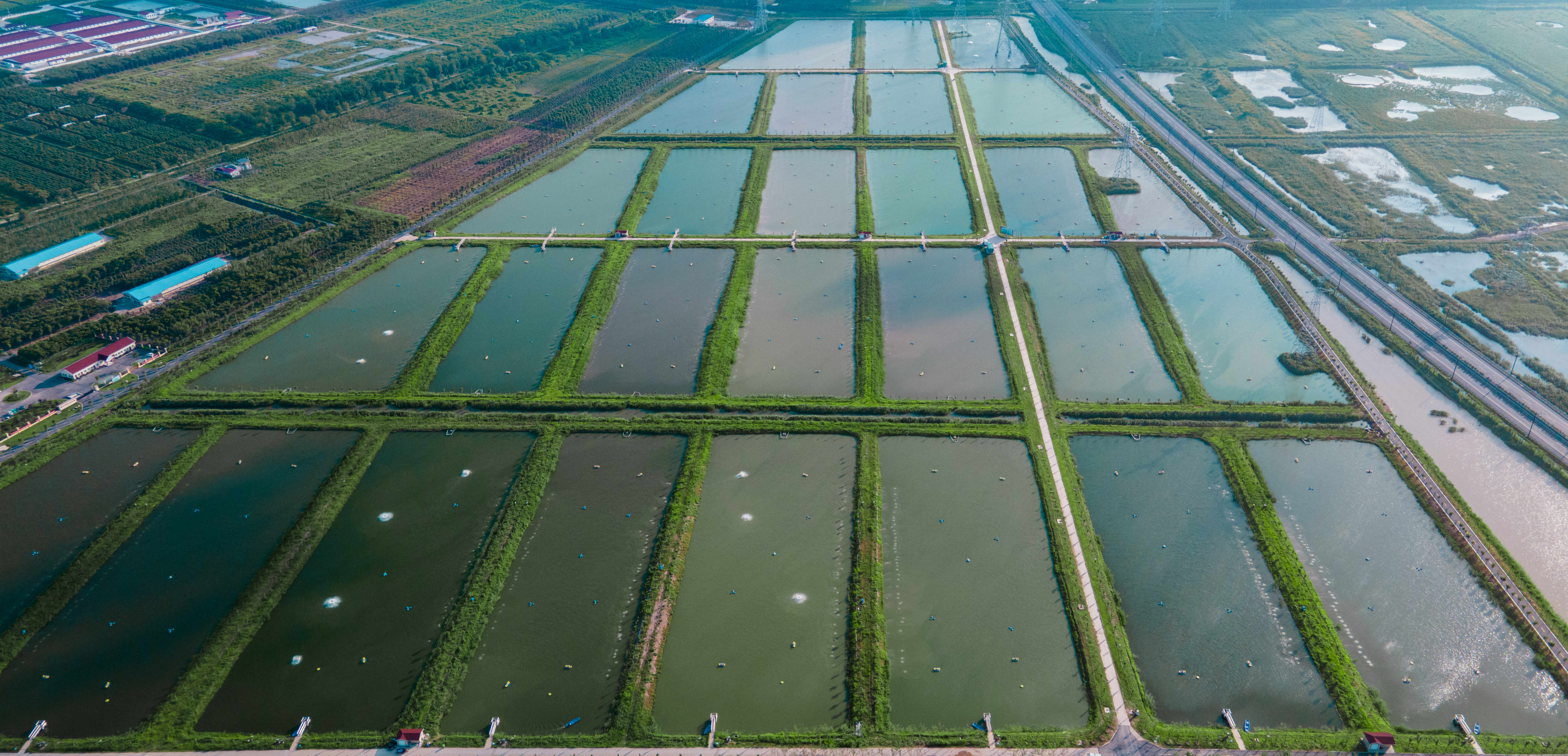  香河生态园标准塘养殖项目招商预公告  