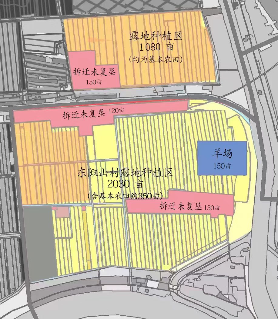 徐圩新区香河生态园种植基地建设 运营项目招商公告